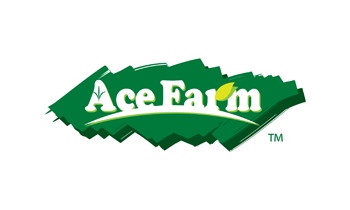 ACE FARM HOLDINGS
