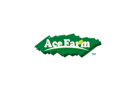 ACE FARM HOLDINGS logo